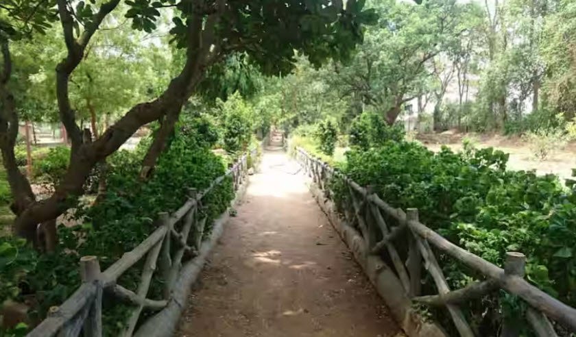 Ali Sagar Road, Nizamabad, Telangana - Vushii.com Ali Sagar Road, Nizamabad, Telangana - Vushii.com